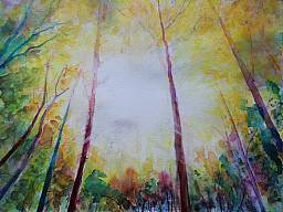 „Peetschsee 7 (Blick in die Sonne)”, Aquarell auf Papier, 32 x 24 cm, 24.6.2015 (Privatbesitz, Berlin)